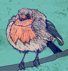 A drawing of a robin with digitised colour.