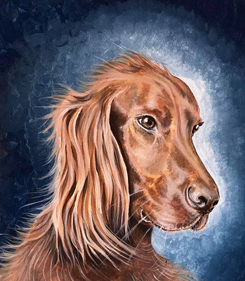 A portrait of an English Red Setter dog.
